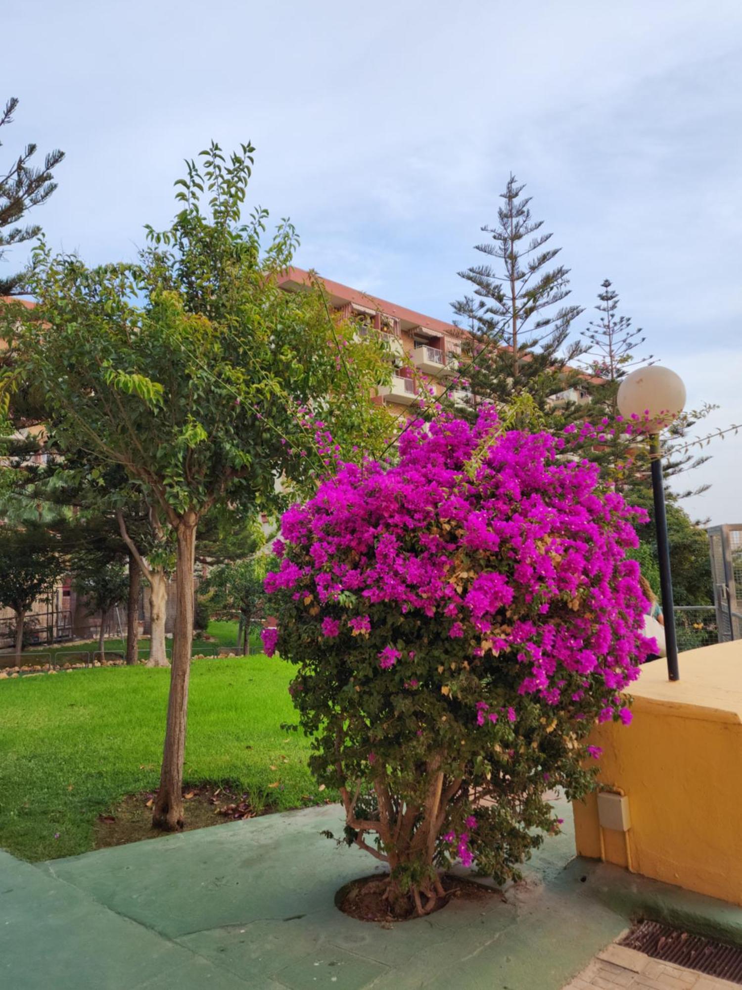 Benalmadena estudio con Parque Acuatico- Wifi Fibra 500MB - Minerva 401 Exterior foto
